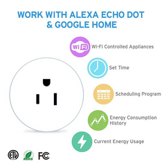 Smart WiFi Plug with Voice Control & App Scheduling