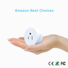 Smart WiFi Plug with Voice Control & App Scheduling